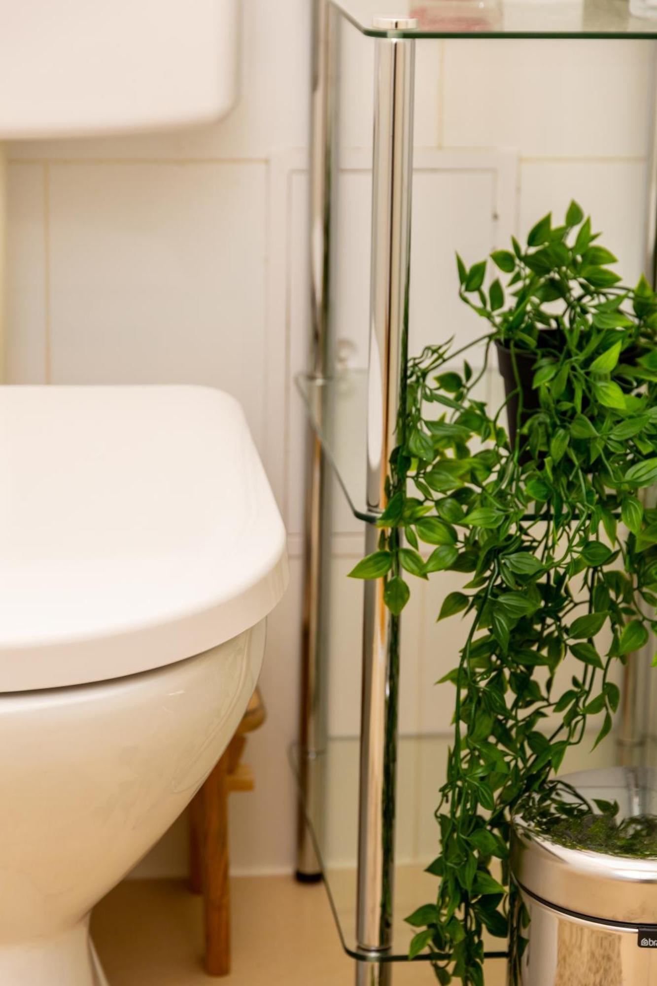 Apartment City Top Location, Quiet And Cozy Ideal To Relax Or Work Wien