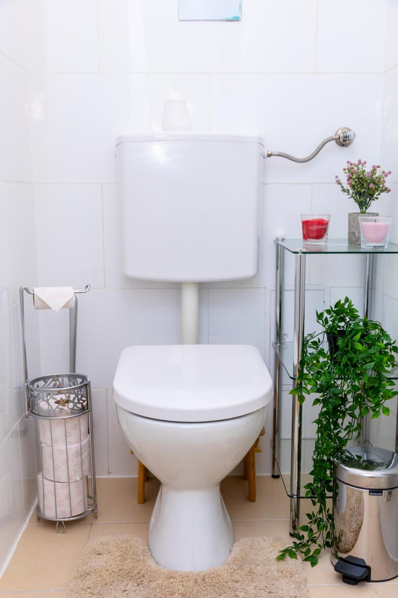 City Top Location, Quiet And Cozy Ideal To Relax Or Work Apartment Wien