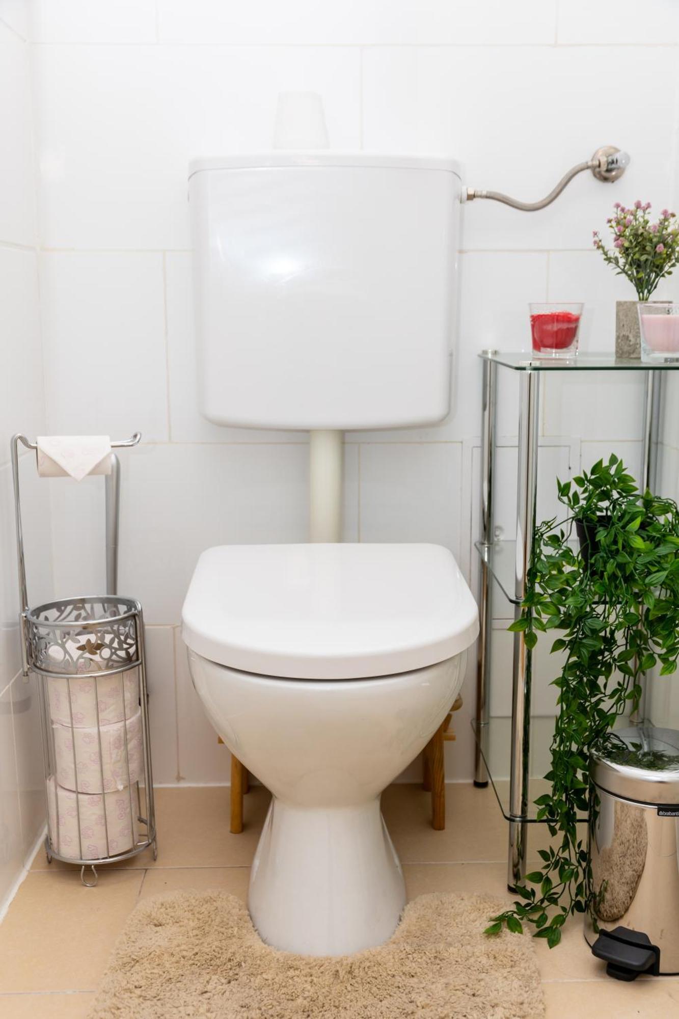 Apartment City Top Location, Quiet And Cozy Ideal To Relax Or Work Wien